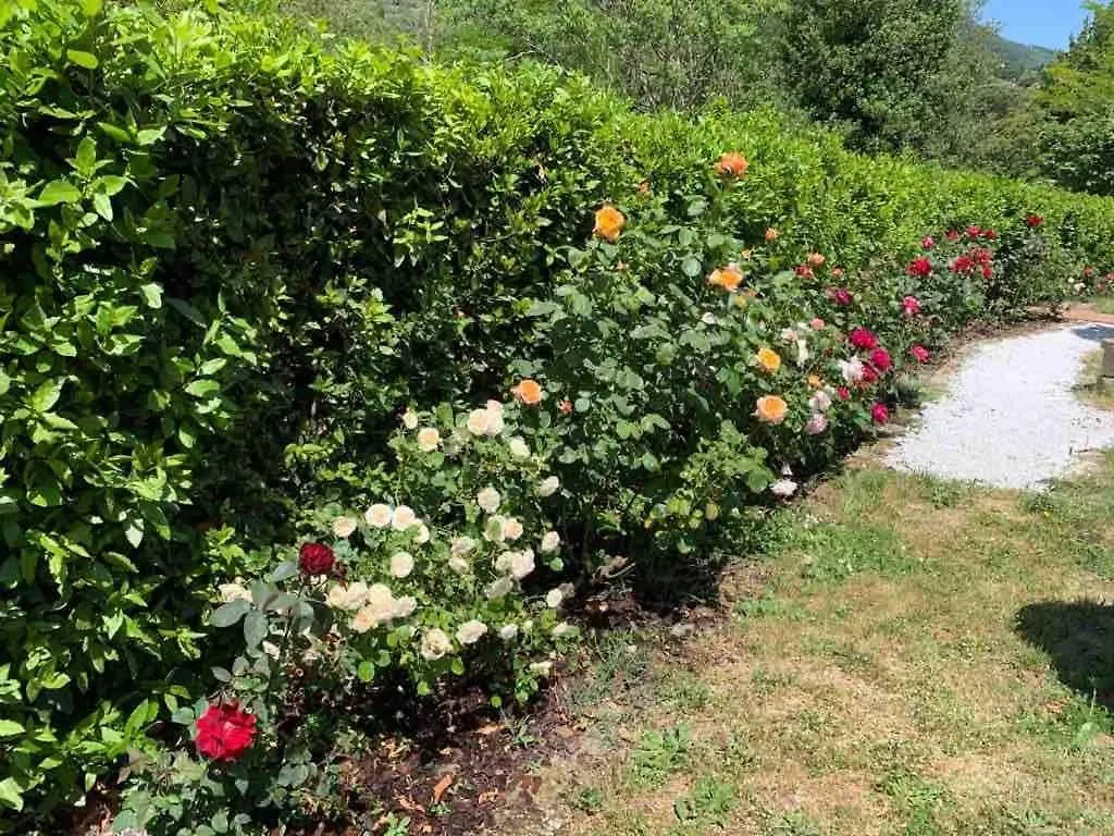 Gigallino In Campagna, A Due Passi Da Firenze Apartment